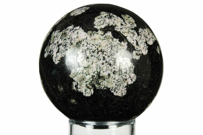 Polished Snowflake Stone Sphere - Pakistan #237790
